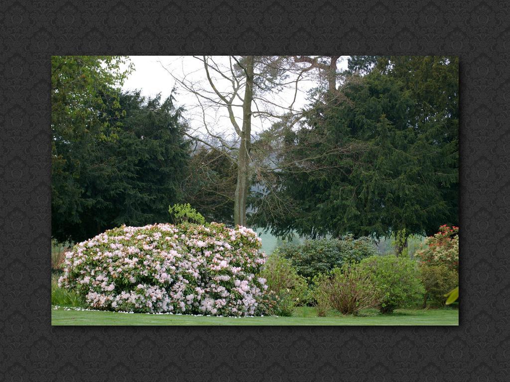 Langrish House Panzió Petersfield Kültér fotó