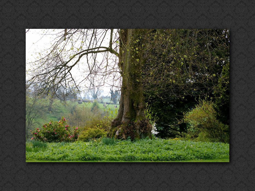 Langrish House Panzió Petersfield Kültér fotó