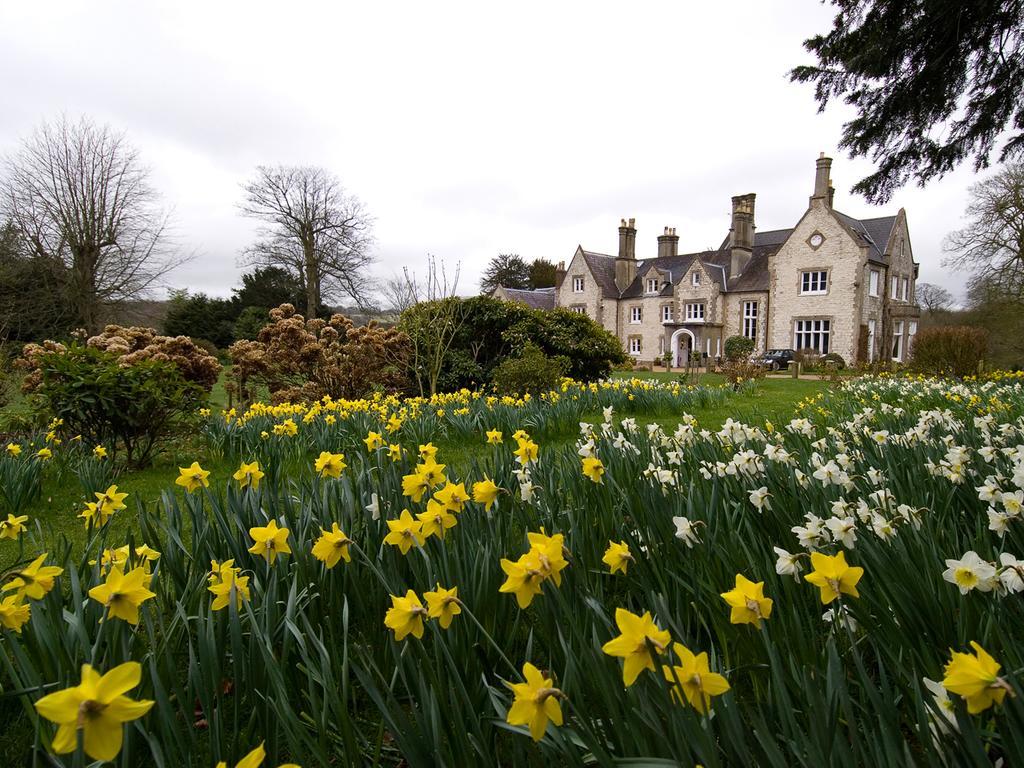 Langrish House Panzió Petersfield Kültér fotó